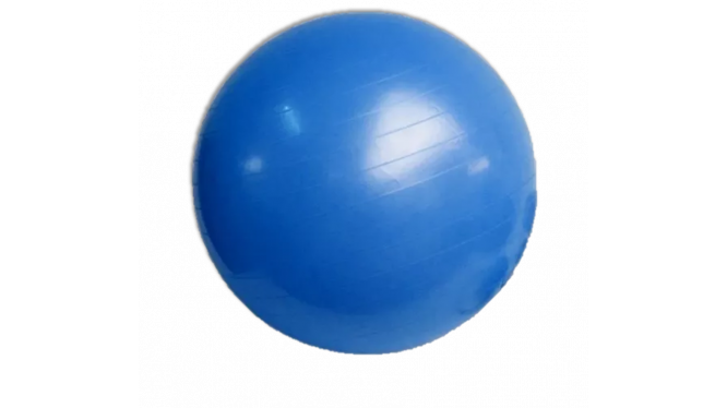 Pelota De Esferodinamia 55cm de diámetro
