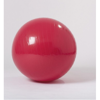 pelota de esferodinamia (pelotass fitness)