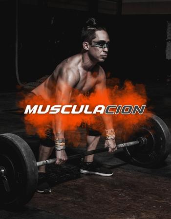 Musculacion